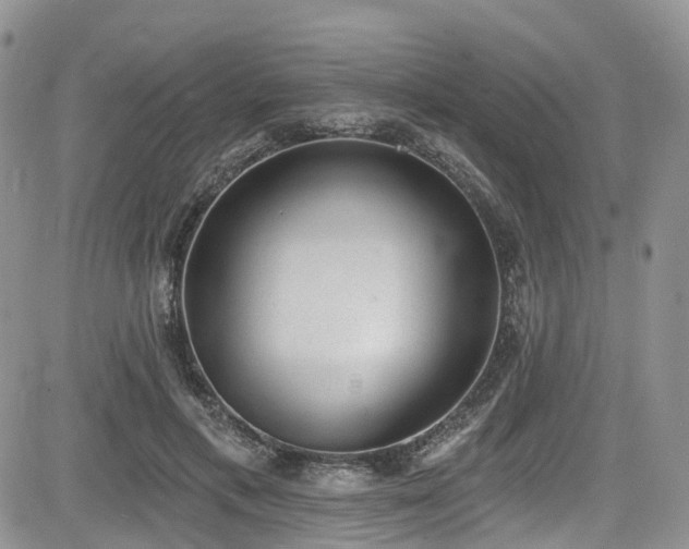 X0000085800597200703161152