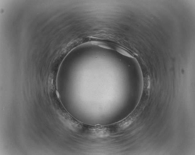 X0000085800615200703161152