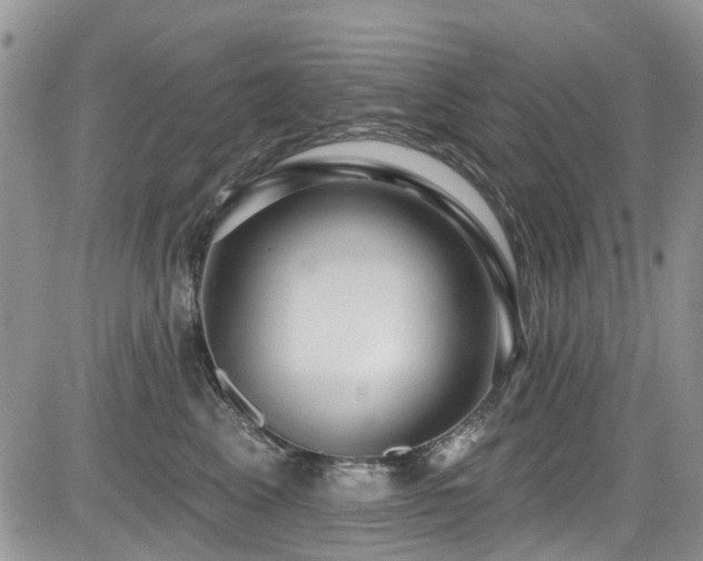 X0000085800617200703161152