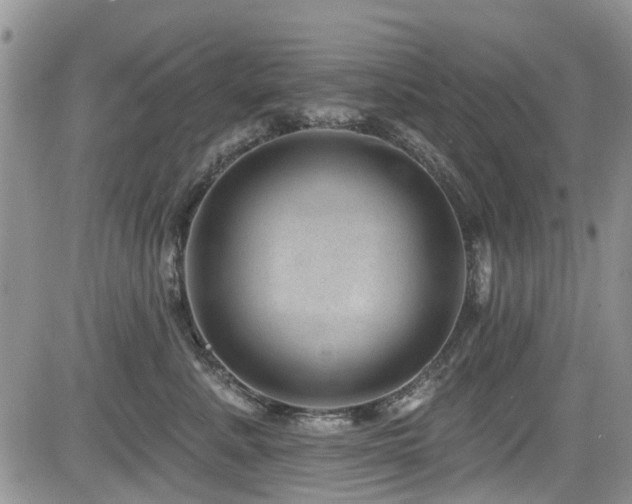 X0000085800619200703161152