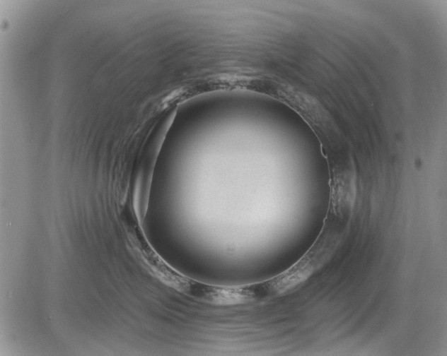 X0000085800623200703161151