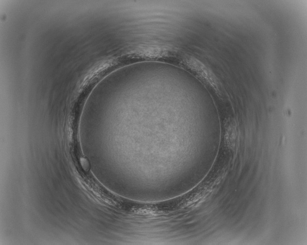 X0000085800635200703161151