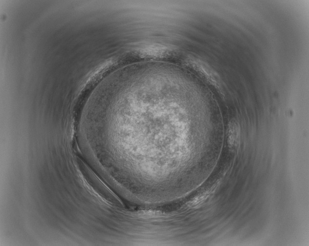 X0000085800637200703161151