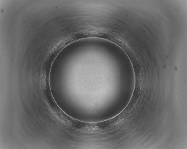 X0000085800642200703161151
