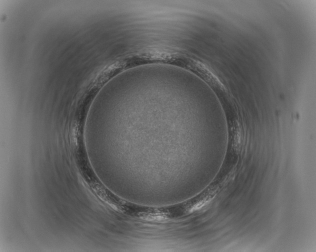 X0000085800643200703161151