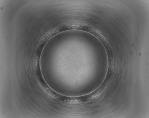 X0000085800645200703161151