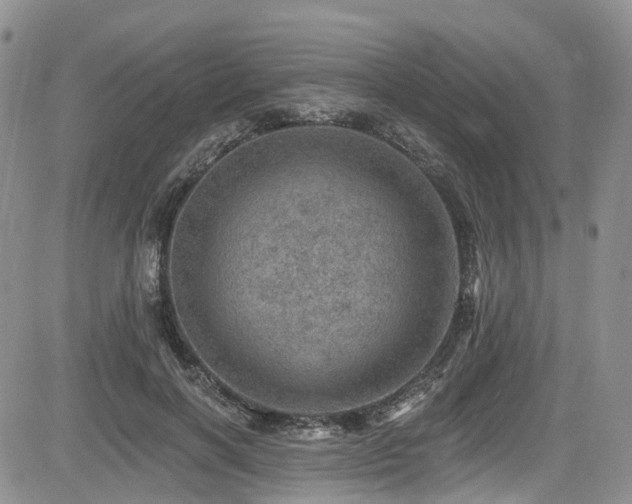 X0000085800646200703161151