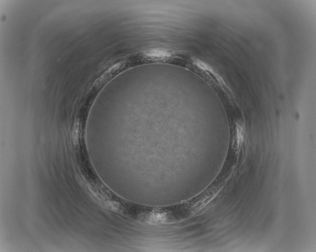 X0000085800647200703161151