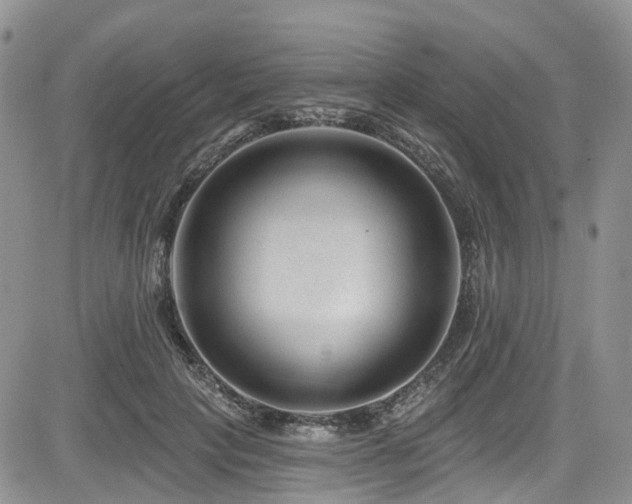 X0000085800649200703161151