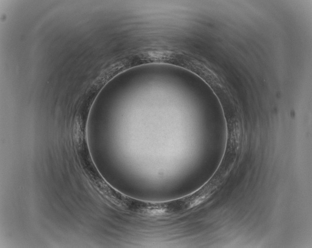 X0000085800651200703161151