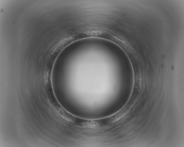 X0000085800652200703161151