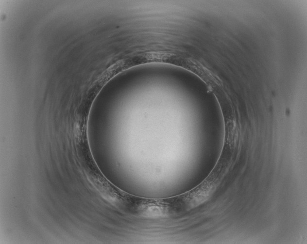 X0000085800655200703161151
