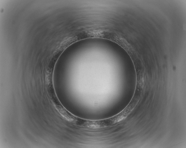 X0000085800658200703161151