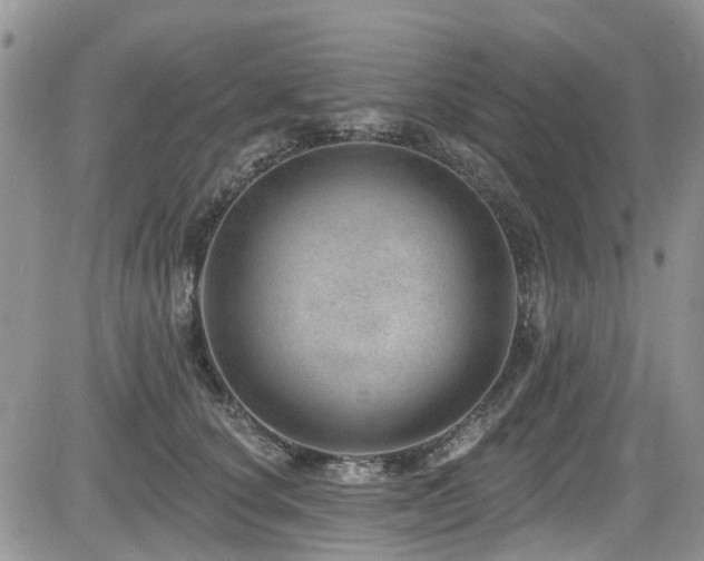 X0000085800660200703161151