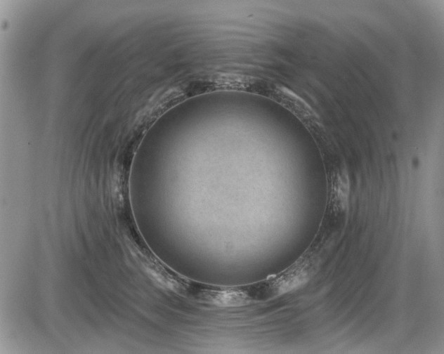 X0000085800663200703161151