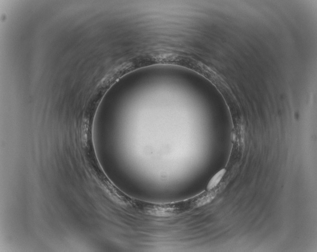 X0000085800664200703161151