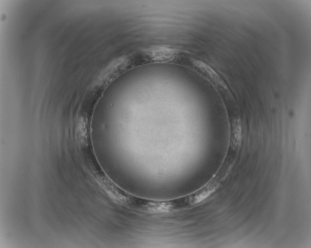 X0000085800667200703161151