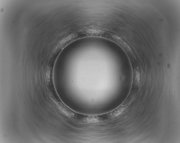 X0000085800668200703161151