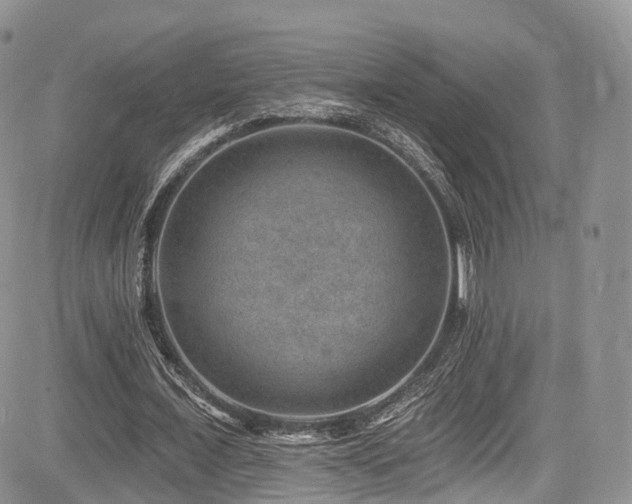 X0000085800675200703161151