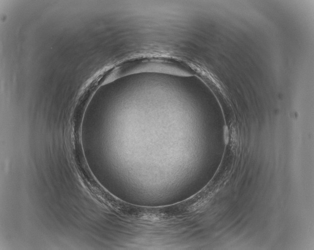 X0000085800684200703161150
