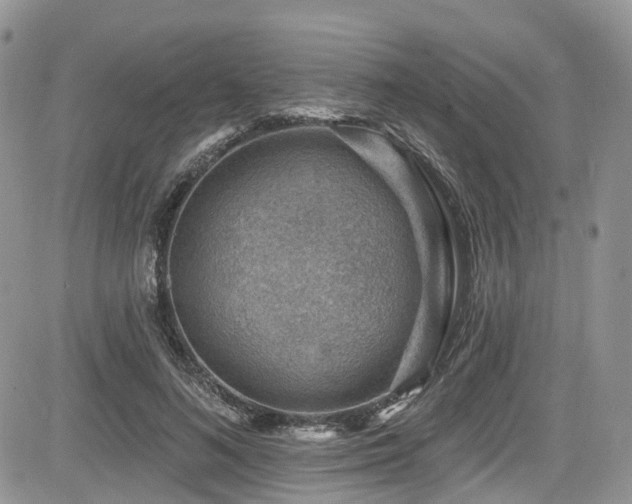 X0000085800692200703161150