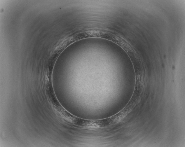 X0000085800702200703161150