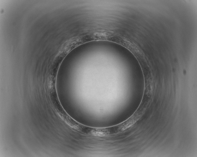 X0000085800706200703161150