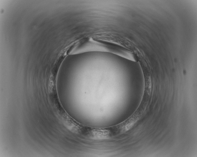X0000085800707200703161150