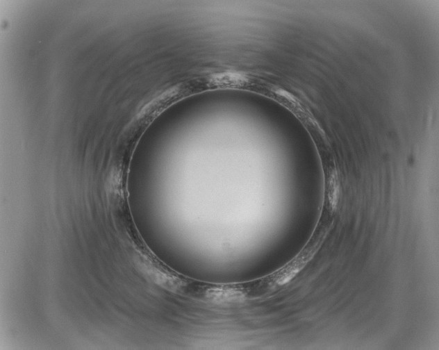 X0000085800714200703161150