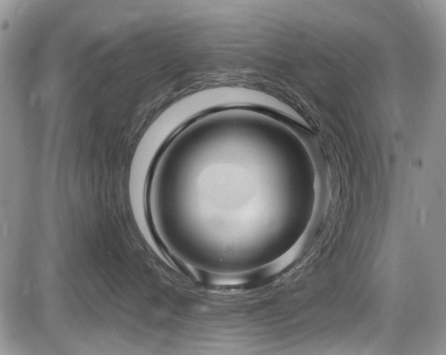 X0000085800720200703161150