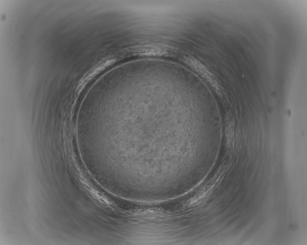 X0000085800721200703161149