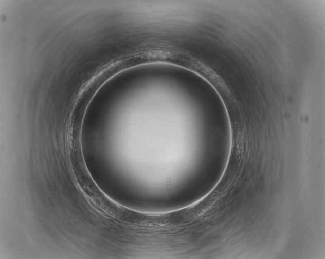 X0000085800722200703161149