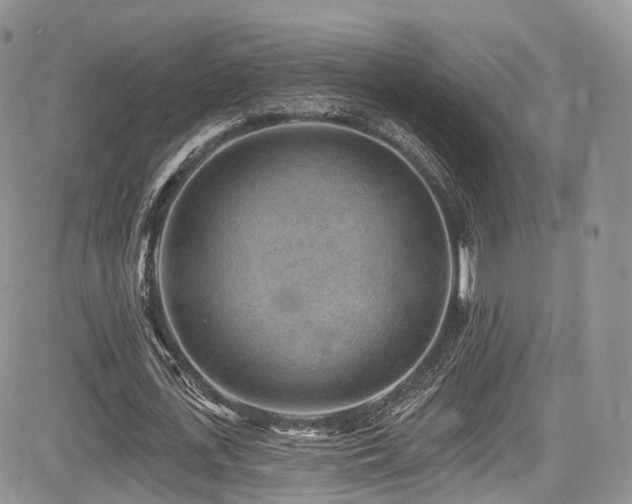 X0000085800723200703161149