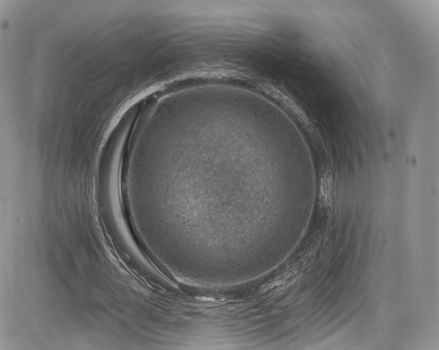 X0000085800724200703161149