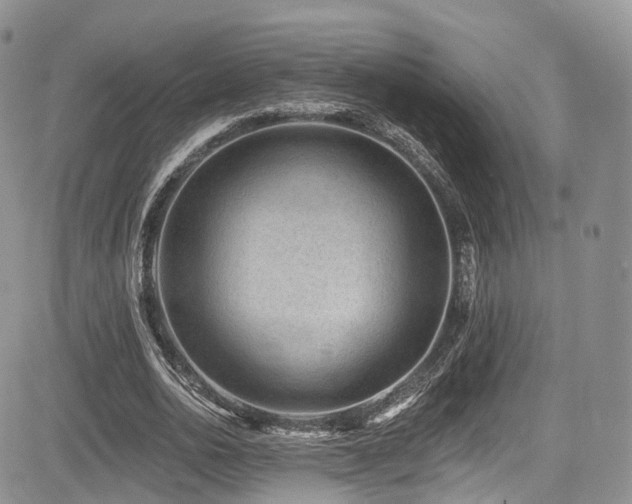 X0000085800726200703161149