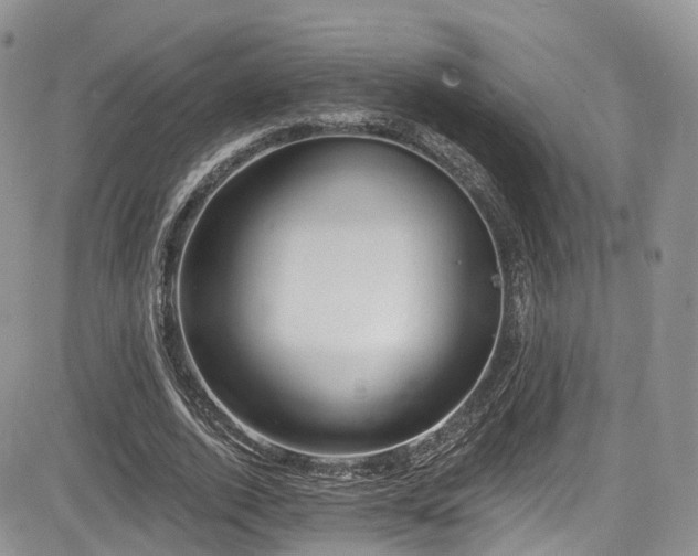 X0000085800728200703161149