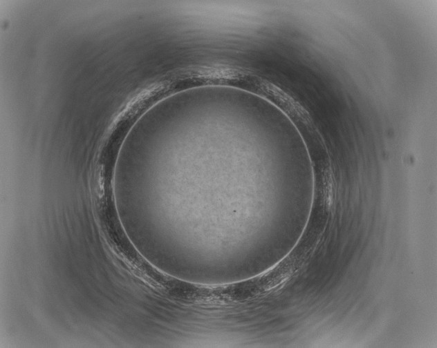 X0000085800731200703161149
