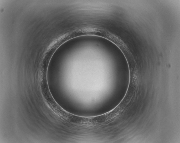 X0000085800732200703161149