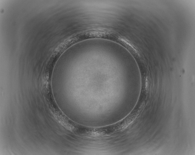 X0000085800737200703161149