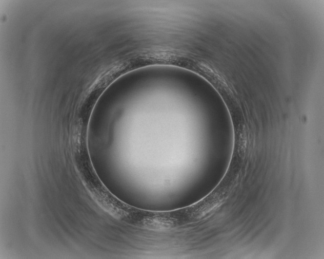 X0000085800739200703161149