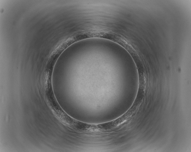 X0000085800742200703161149