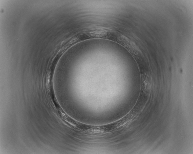 X0000085800745200703161149