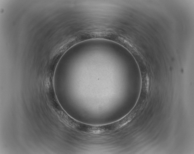 X0000085800746200703161149