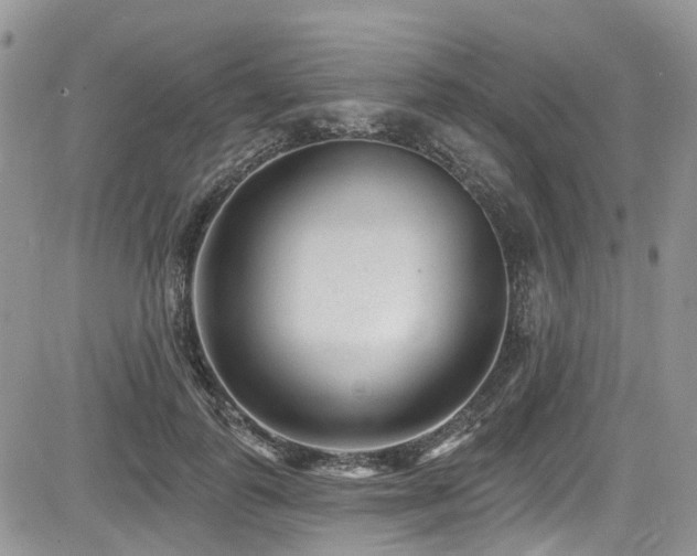 X0000085800747200703161150