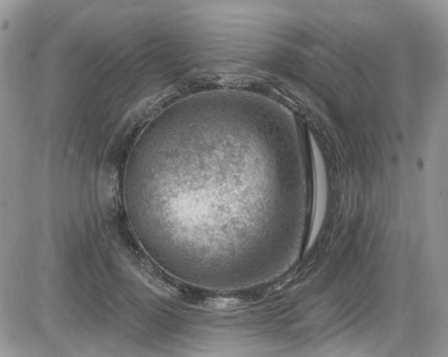 X0000085800748200703161150