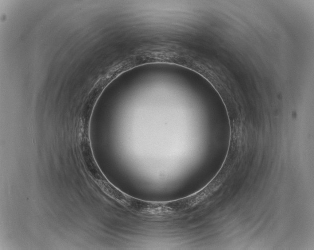 X0000085800752200703161150