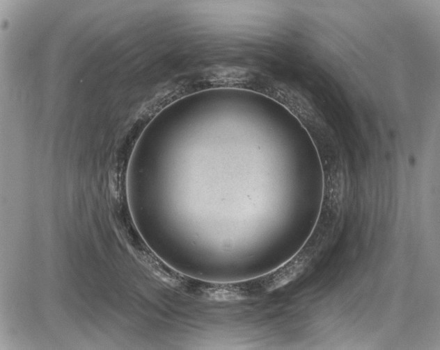 X0000085800755200703161150