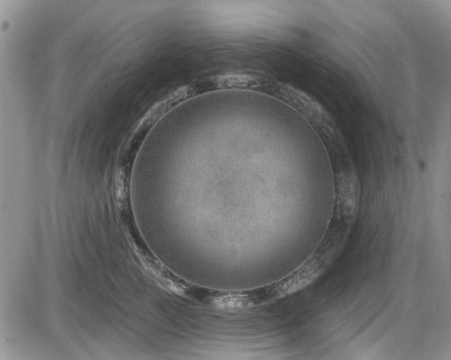 X0000085800761200703161150