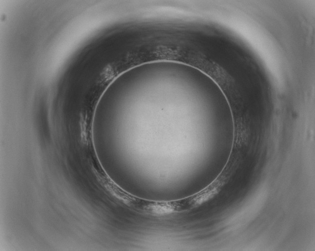 X0000085800765200703161150