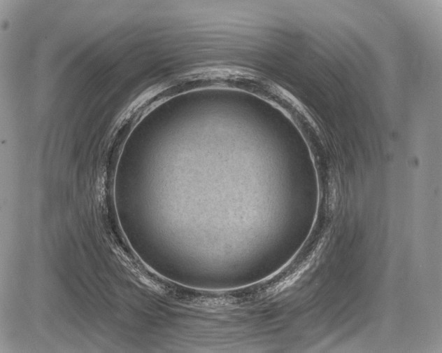 X0000085800778200703161149